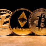 Shocking 200 Crore Crypto Portfolio of Bureaucrat Ignites Frenzy